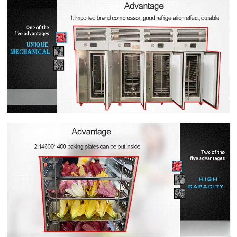 FL Quick Freezing Machine Stai - Quick Food Snacks ulasan dan harga