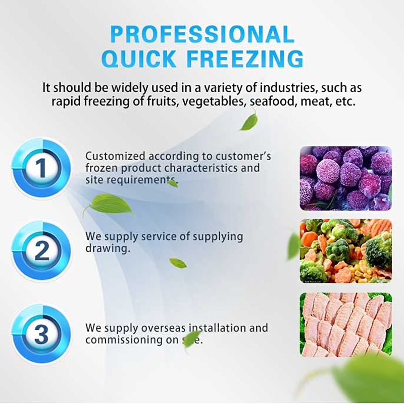 FL Quick Freezing Machine Stai - Quick Food Snacks ulasan dan harga