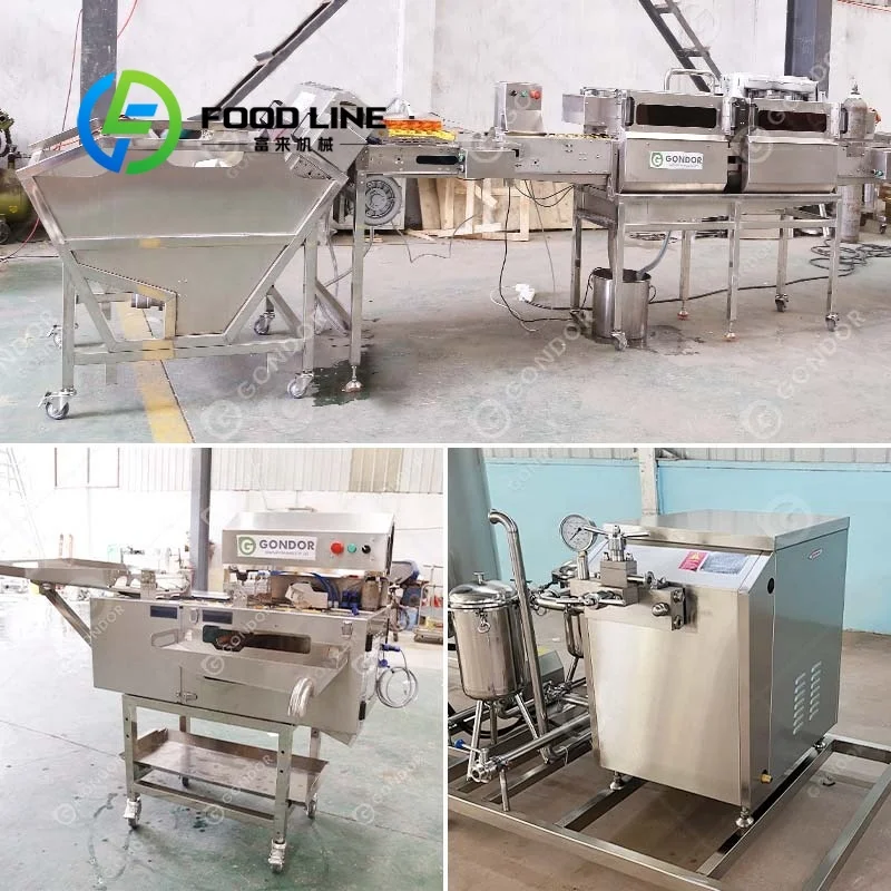 Complete Machine Manufacturing - Food Protein Snacks ulasan dan harga
