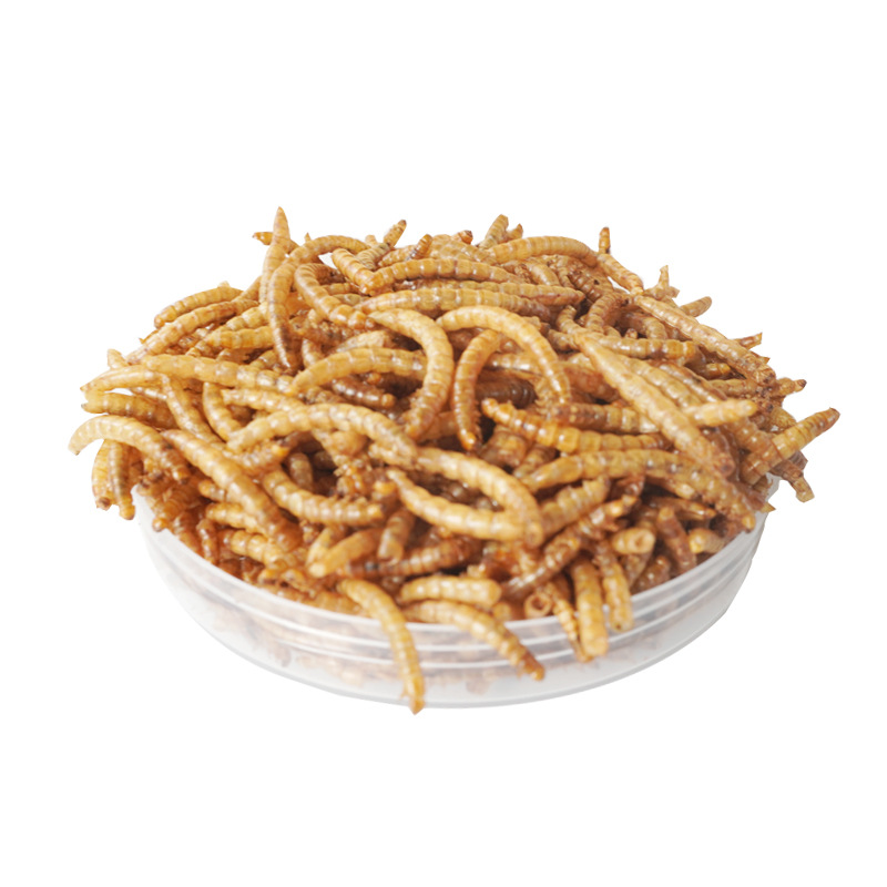High-Protein Snacks Hamster Fo - Food Protein Snacks ulasan dan harga