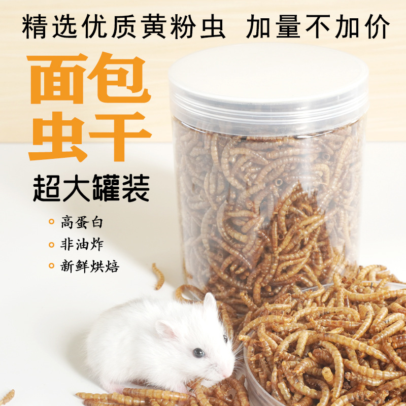 High-Protein Snacks Hamster Fo - Food Protein Snacks ulasan dan harga